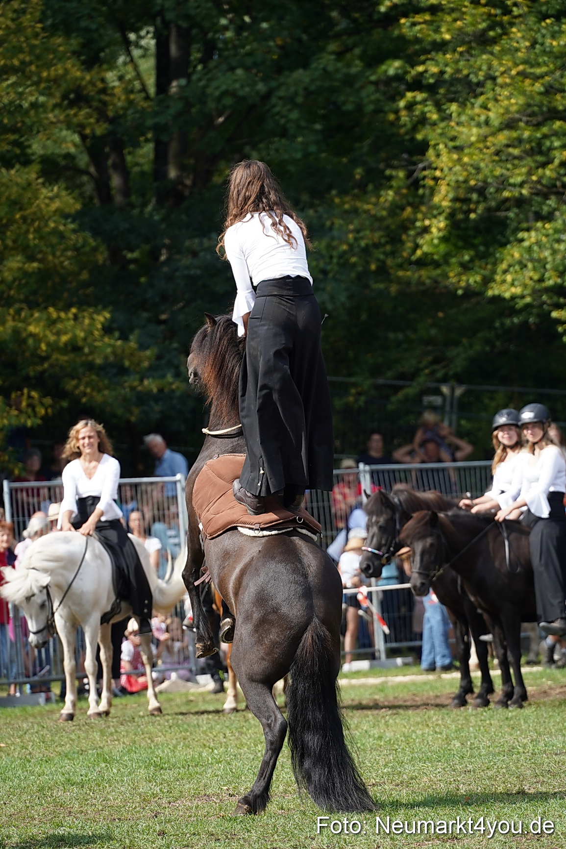 Pferde und Fohlenschau 2022 0269 